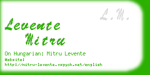 levente mitru business card